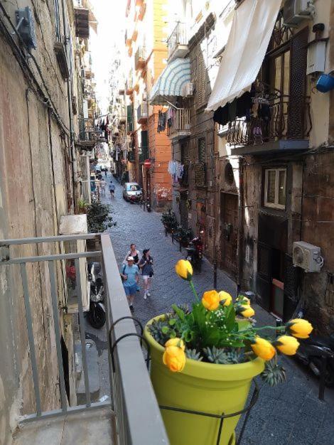 Apartmán La Conchiglia Napoli Exteriér fotografie